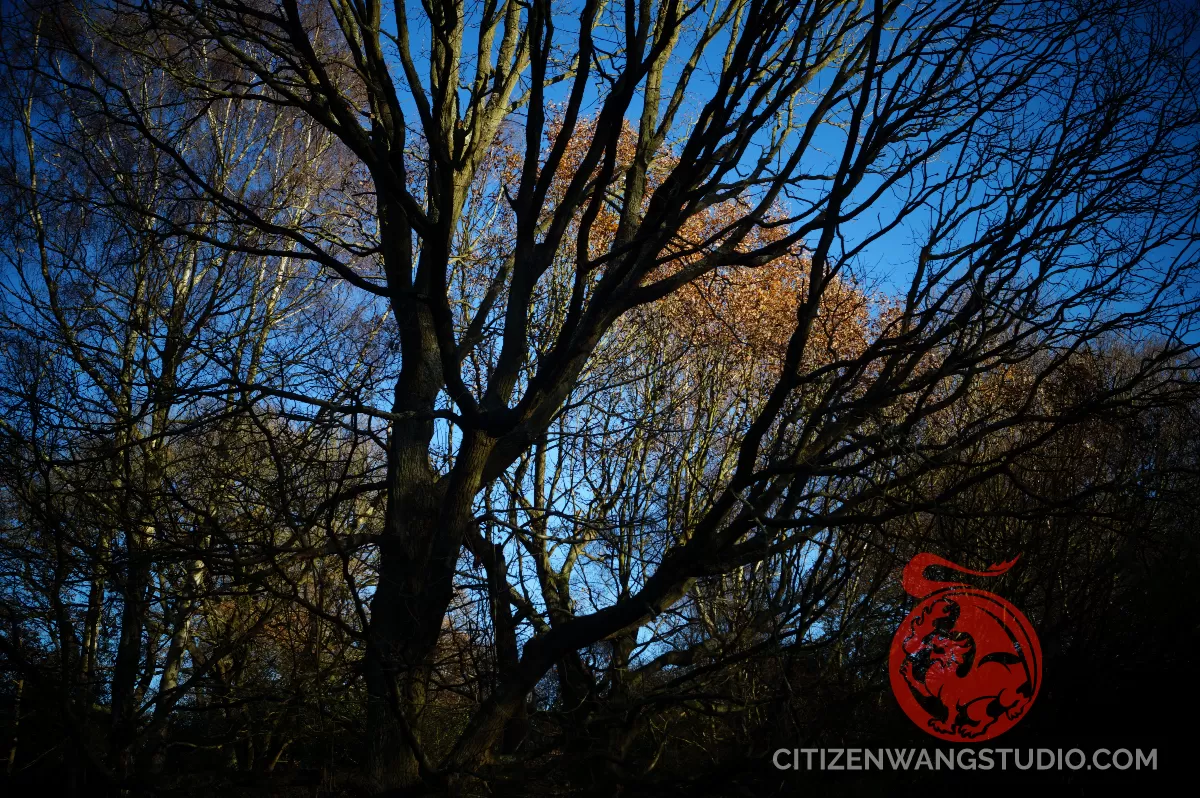 outside-number-42c.jpg